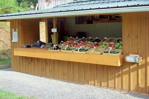 Organic produce at Silver Maples Farm
